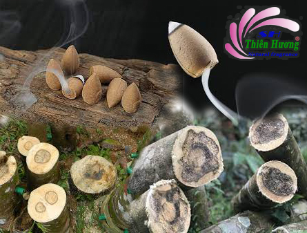 Trầm Hương là gì? Hương Trầm là gì?